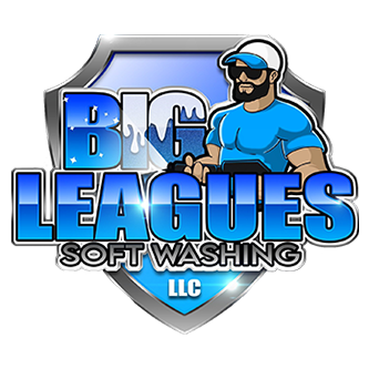 Big Leagues Soft Washing LLC Logo